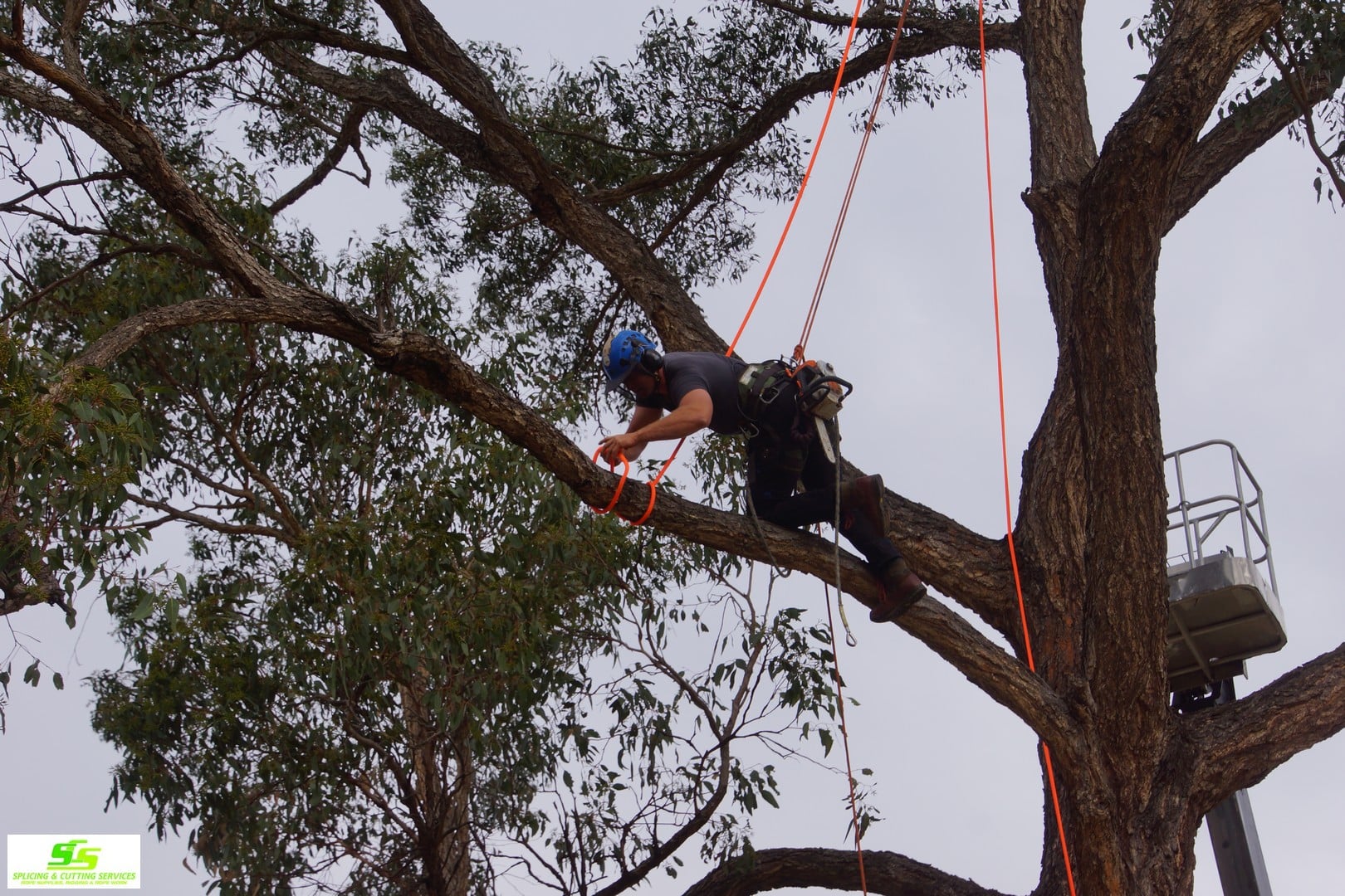 Splicing & Cutting – Rope Supplies & Rigging Specialists AU