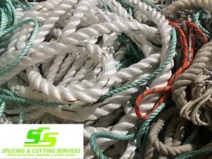 CLEARANCE / SPECIAL OFFERS